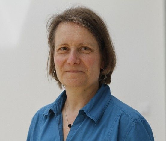 Portrait von  Sabine Erdmann-Kutnevic